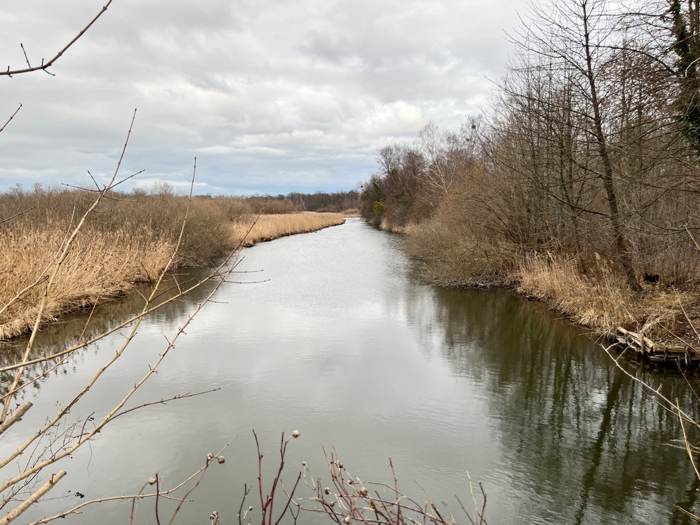 23-02-18 17-19-52 4282